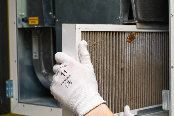 Best Air Duct Cleaning Near Me  in Maxwell, CA