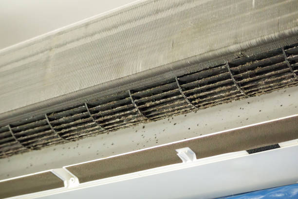 Best Residential Air Duct Cleaning  in Maxwell, CA
